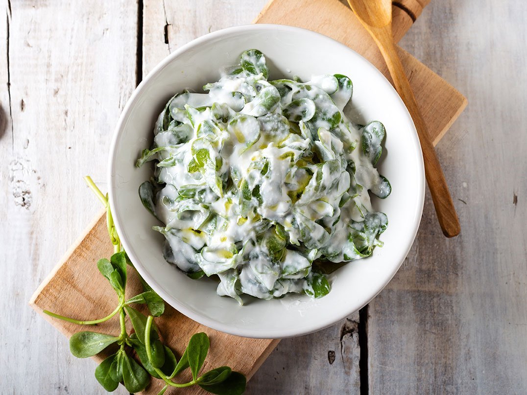 Purslane Salad With Fresh Garlic Yogurt And Olive Oil In White C