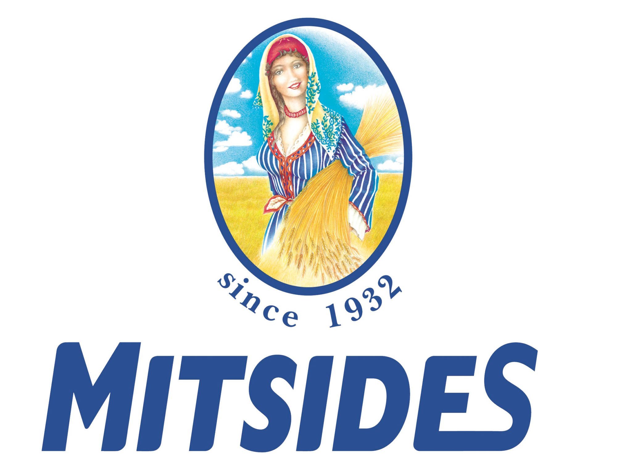 Mitsides Logo 1