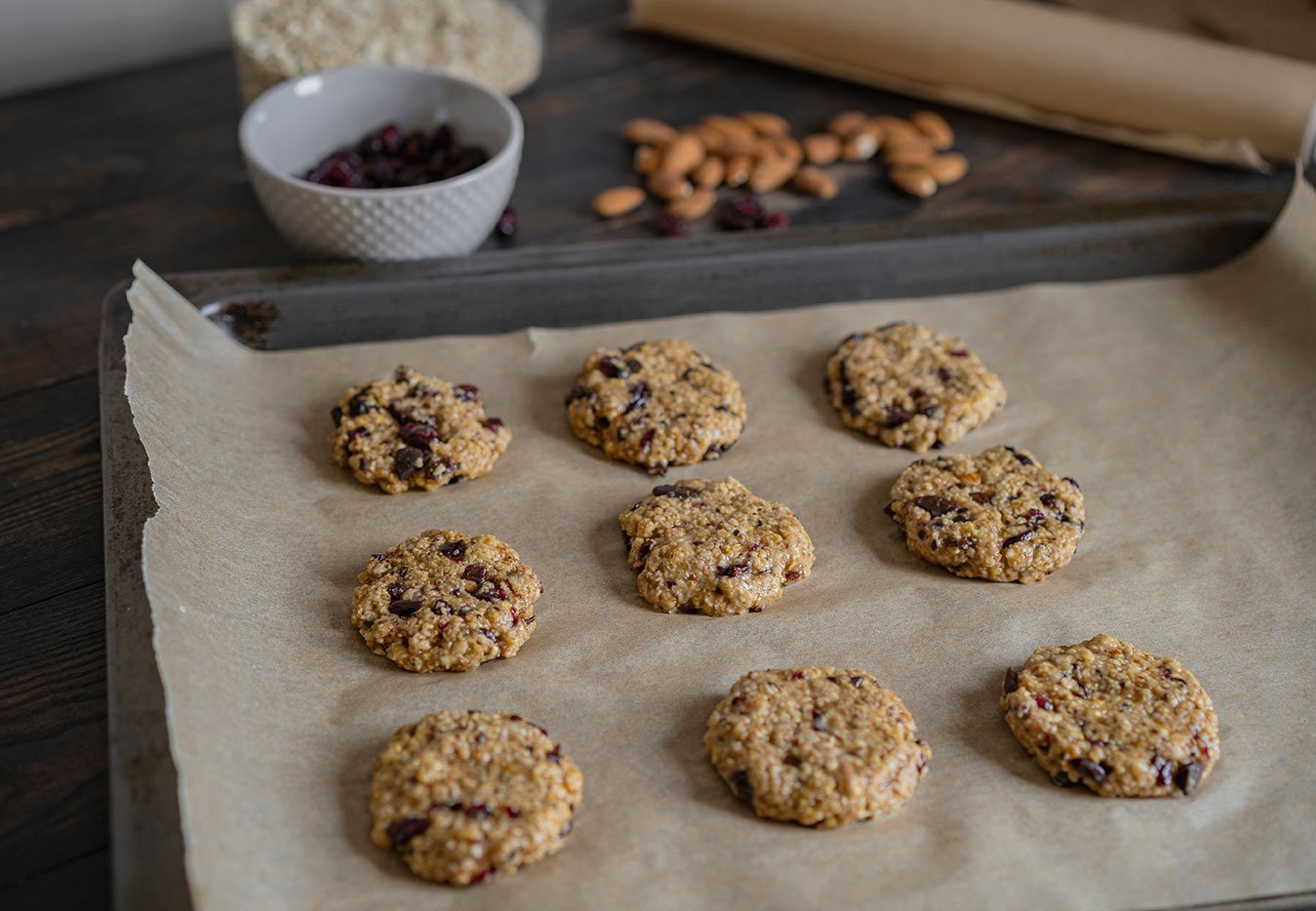 Oatmeal Cranberry Round Cookies Before Oven, Homemade Healthy Ve