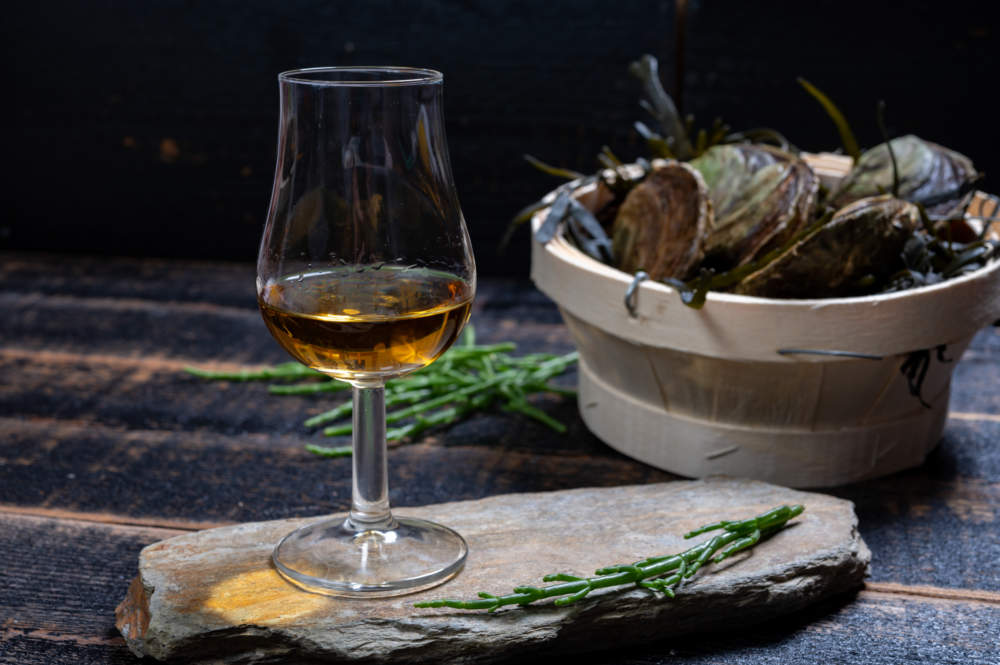 Food And Drink Pairing, Fresh Raw European Flat Oyster Grown In Brittany In Belon River, France And Scotch Single Malt Whisky From Islay Island, Scotland